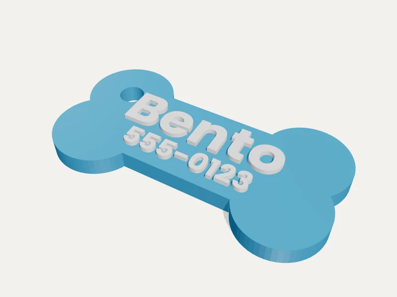 Pet ID Tag — 3D render